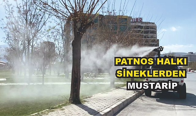Patnos Halkı Sineklerden Muzdarip
