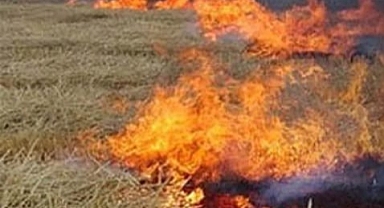 Patnos'ta korkutan yangın