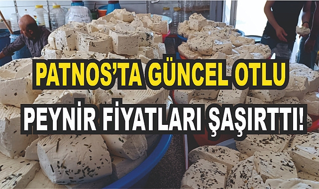 Patnos'ta peynir pazarı en yoğun günlerini yaşıyor