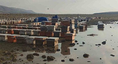 Sağanak yağmur arı kovanlarını vurdu