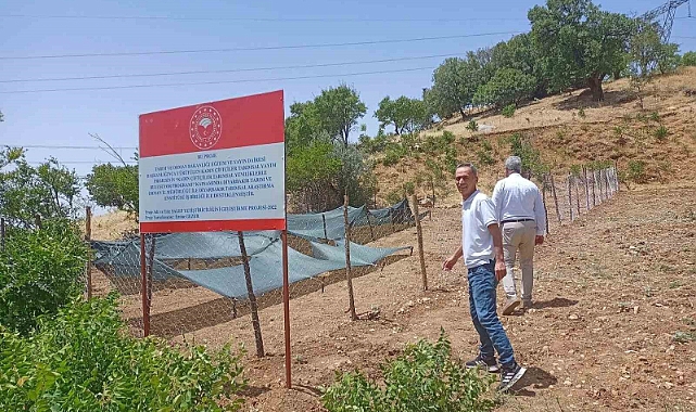 Siirt’te salep üretimi yapılacak