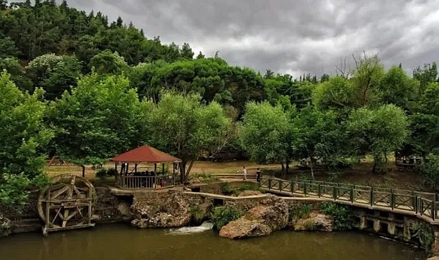 Sinop'un en güzel ilçesi belli oldu! Siz olsanız hangisini seçerdiniz?