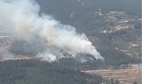 Soma’da orman yangını