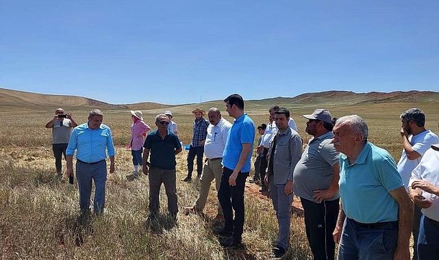 Sungurlu’da biçerdöverler kontrol ediliyor