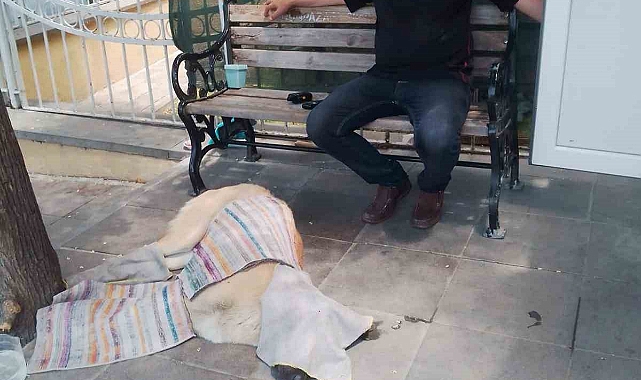 Taksi durağı çalışanının takdir edilecek merhameti