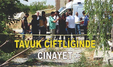Tavuk çiftliğinde cinayet