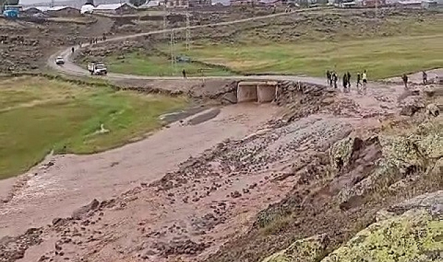 Tekman'da sel ekili arazilere zarar verdi