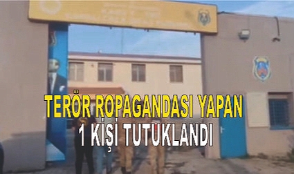 Terör propagandası yapan 1 kişi yakalandı
