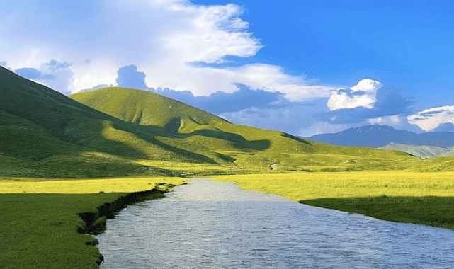 TÜİK açıkladı işte Şırnak’ın nüfus dağılımı: kaç kişi yaşıyor, kaçı erkek, kaçı kadın?