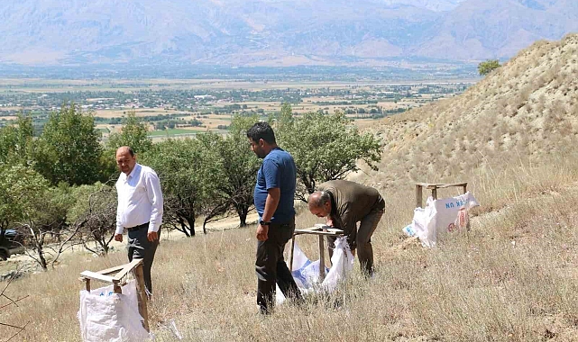 Tuz çalısı Demonstrasyonu sürüyor Erzincan'da