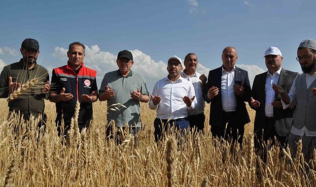 Yüzde 50 hibeyle dağıtılan tohumlar tarlalara ekildi