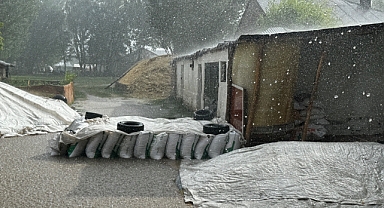 Ağrı'da Aniden Bastıran Sağanak, Çiftçinin Mahsulünü Yıkıp Geçti! (Videolu Haber)