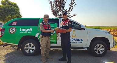 Ağrı’da bitkin halde bulunan yaralı hayvanlar koruma altına alınıyor