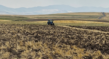 Ağrı'da hasat bitti, çiftçi tarlalarını sürmeye başladı