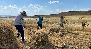 Ağrı'daki çiftçilerin kavurucu sıcaklarda ekmek mücadelesi