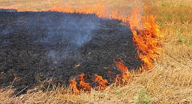 Ağrı Valiliği anız yangınlarına karşı uyardı