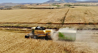 (VİDEOLU HABER) Ağrı Valisi Koç, çiftçilerle birlikte hasat heyecanı yaşadı
