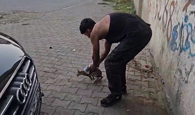 Aracın altına sıkışan kedi sanayide çıkarıldı