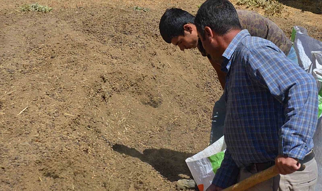 Artık Çöp Değil, Altın! Gübre Satışı Patladı