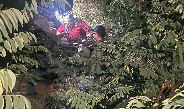 Artvin’de dağ kekiği toplayan aile dağda mahsur kaldı, yardımlarına arama kurtarma ekipleri yetişti
