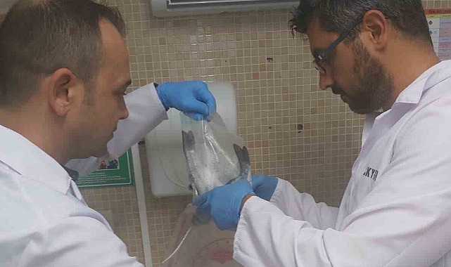 Aydın’ın balıkları Rusya yolcusu