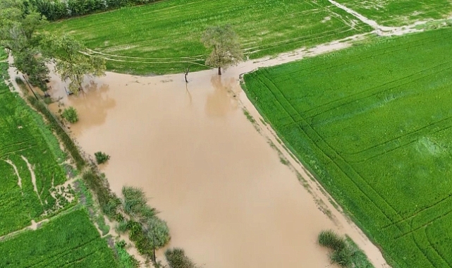 Bafra Ovası’nda tarım arazileri sular altında