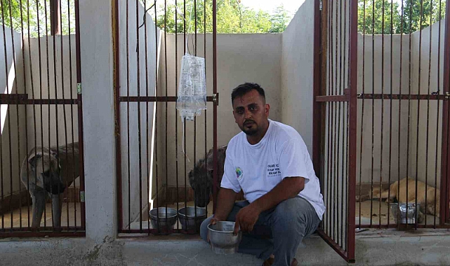Balçıkta ölümü bekleyen köpeğe hayat kurtaran müdahale