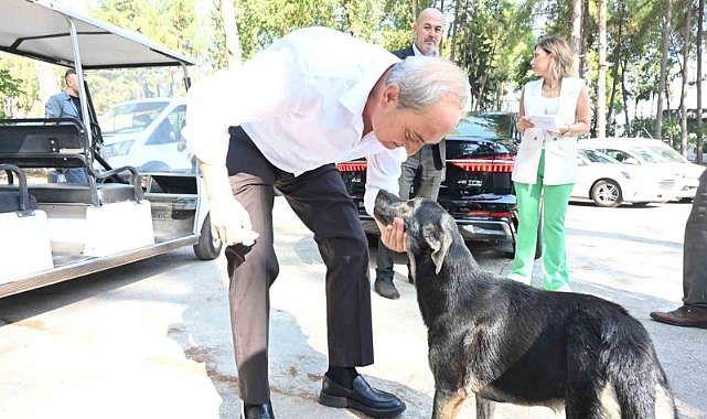 Başkan Kocagöz’den ’Köpek yakıldı’ iddialarına cevap