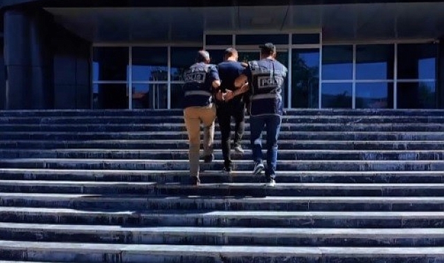 Bingöl'de 7 zanlı tutuklandı