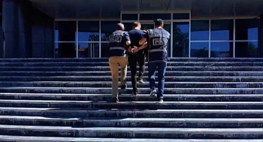 Bingöl'de 7 zanlı tutuklandı