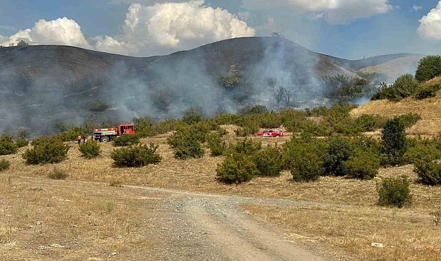 Bingöl'de çıkan orman yangını evlere sıçramadan söndürüldü