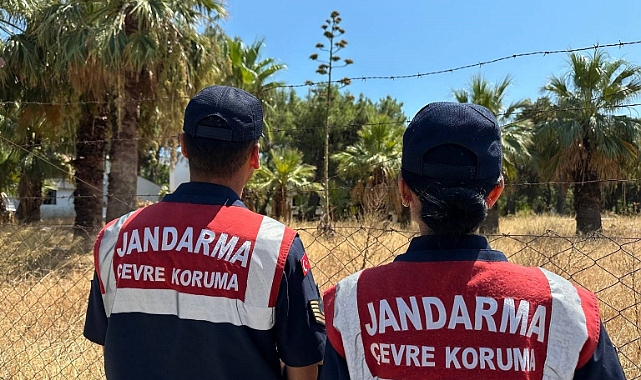 Bu bitkiyi koparmanın cezası 387 bin TL