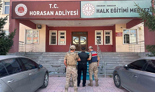 Büyükbaş hayvan hırsızları jandarmadan kaçamadı