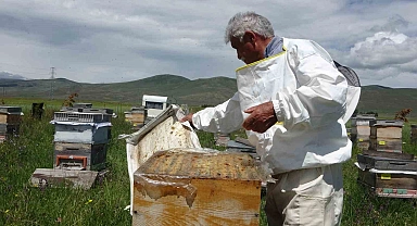 Coğrafi işaretli bal hasadı başladı; 450 ton bal üretimi bekleniyor