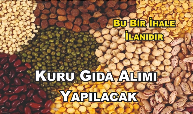 Diyadin Şehit İlhan Demir Yatılı Bölge Ortaokulu Gıda Alımı Yapacak