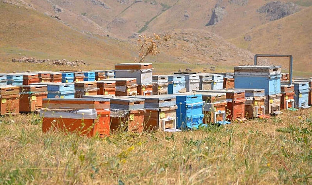 Doğal bal üreticileri tedirgin