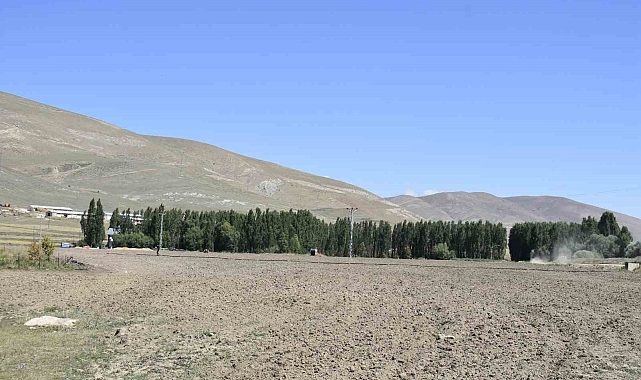 Doğu orman fakiri