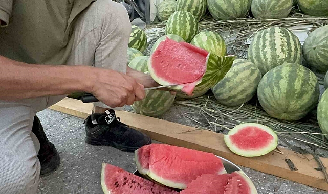 Düzce’de yerli karpuz tezgaha indi