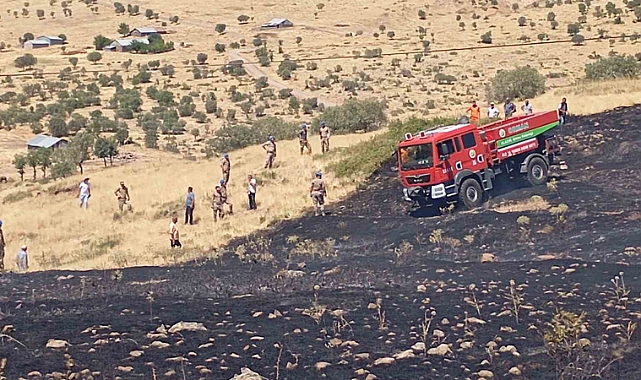 Elazığ’da otluk alanda çıkan yangın kontrol altına alındı