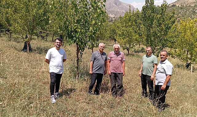 Emekli Eğitimciden 19 bin Ağacı Toprakla Buluşturdu
