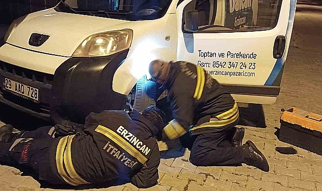 Erzincan'da aracın kaputuna giren kediyi itfaiye kurtardı