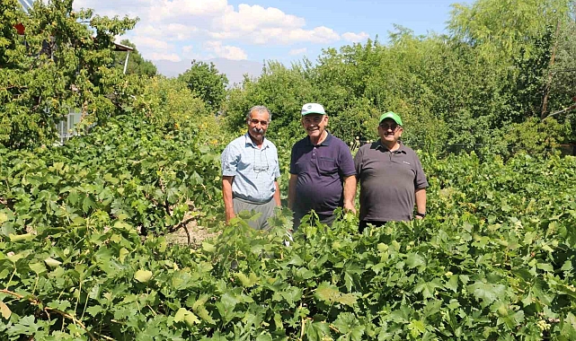Erzincan tarım sektörü, renkli görüntülere sahne oluyor