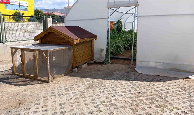 Erzincan'da okuldaki çiftlik büyümeye devam ediyor