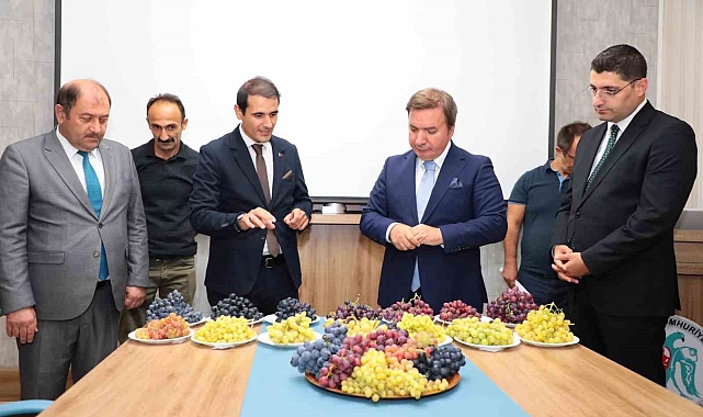 Erzincan'da Üzüm Çeşitliliği Artıyor