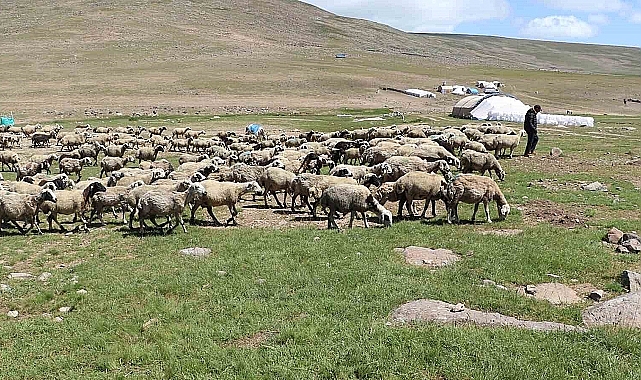 Erzurum baz alınarak tarımda örgütlü üretimin önemi ele alındı