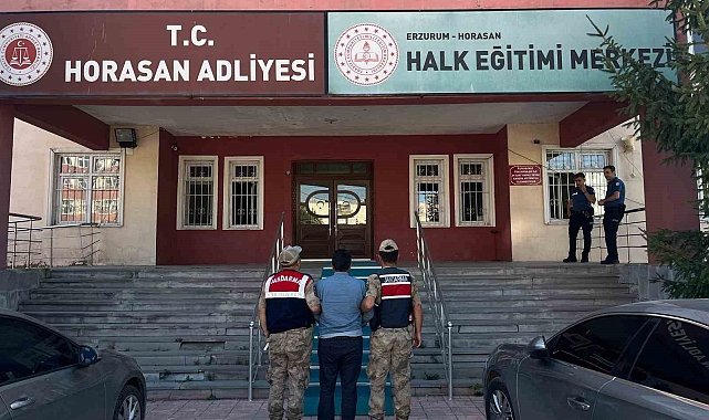 Erzurum'da büyükbaş hayvan hırsızları jandarmadan kaçamadı