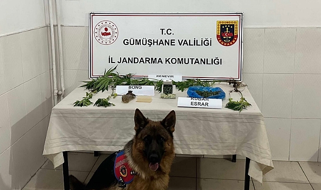 Gümüşhane’de Jandarma ekipleri aranan şahsı çatıda yakaladı
