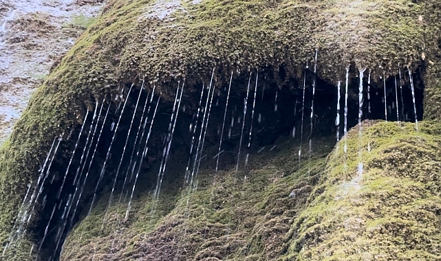 Hakkari Doski Vadisi'ndeki şelale doğaseverlerin uğrak yeri oluyor