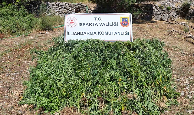 Isparta’da uyuşturucu operasyonu: Çok sayıda malzeme ele geçirildi