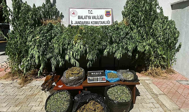 Jandarma 11,5 kilogram kubar esrar ele geçirildi: 2 gözaltı